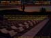 sunburst_site